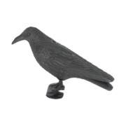 Vogelverschrikker kraai