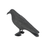 Vogelverschrikker kraai