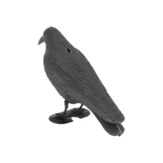 Vogelverschrikker kraai