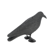 Vogelverschrikker kraai