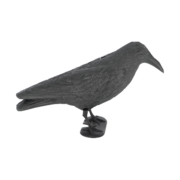 Vogelverschrikker kraai