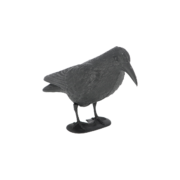 Vogelverschrikker kraai