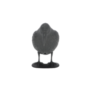 Vogelverschrikker kraai