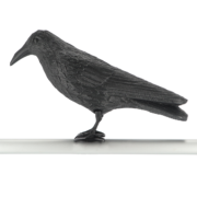 Vogelverschrikker kraai