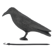 Vogelverschrikker kraai
