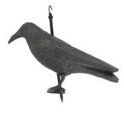 Vogelverschrikker kraai