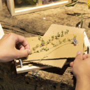 Flowers and herbs press