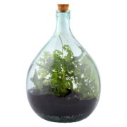 Terrariumfles 15 liter set
