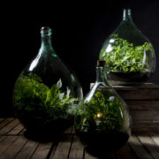 Terrariumfles 15 liter set