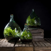 Terrariumfles 15 liter set