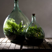 Terrariumfles 15 liter set