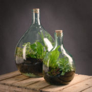 Terrariumfles 15 liter set