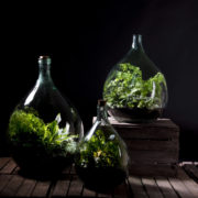 Terrariumfles 15 liter set