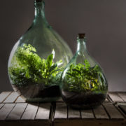 Terrariumfles 15 liter set