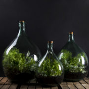 Terrariumfles 15 liter set