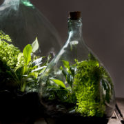Terrariumfles 15 liter set