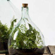 Terrariumfles 15 liter set