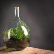 Terrariumfles 15 liter set