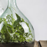Terrariumfles 15 liter set