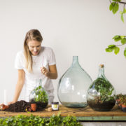 Terrariumfles 15 liter set