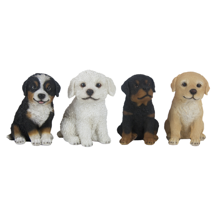 Zittende pup