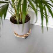 Trolley naturel rond indoor L