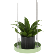 Round green window hanging tray S