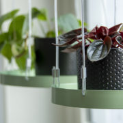 Round green window hanging tray S