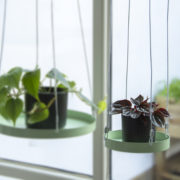 Round green window hanging tray S