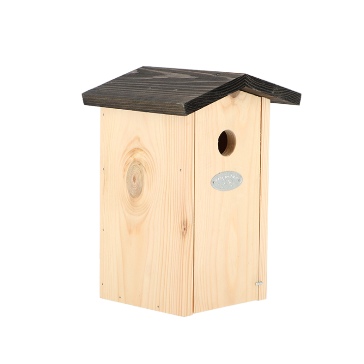Birdhouse blue tit