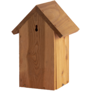 Nestkast pimpelmees douglas hout