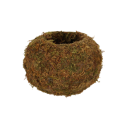 Kokedama ball M