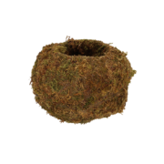 Kokedama ball M