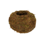 Kokedama ball M