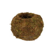 Kokedama ball M