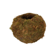 Kokedama ball M