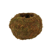 Kokedama ball M