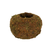 Kokedama ball M