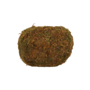 Kokedama ball M