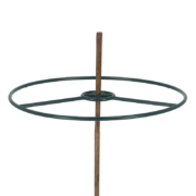 Anneau pour tuteurs bambou set/2