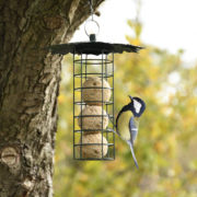Suet ball dispenser with leaf roof