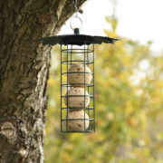 Suet ball dispenser with leaf roof