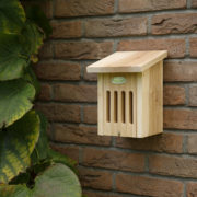 Butterfly house in gift box