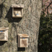 Butterfly house in gift box