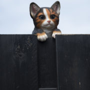 Zaunhänger Katze
