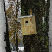 Spiegelnistkasten