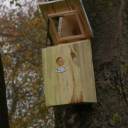 Spiegelnistkasten