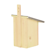 Nest box great tit
