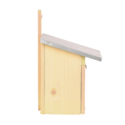 Nest box great tit