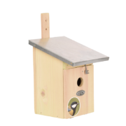 Nest box great tit